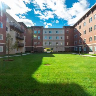 A sunny day in a grassy courtyard surrounded by brick buildings.