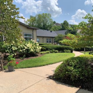 A peaceful garden path lined with lush greenery and flowering bushes under a partly cloudy sky.