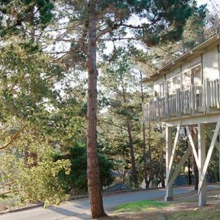 Cypress Ridge Care Center