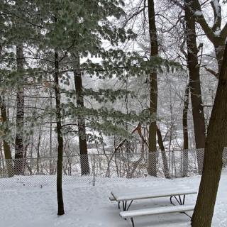 A snowy forest scene with a picnic bench among the trees.