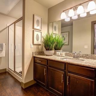 A modern bathroom featuring a spacious vanity with a large plant, a mirror above, and a glass-enclosed shower.