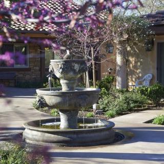 A tranquil courtyard featuring a multi-tiered fountain surrounded by blooming purple flowers.