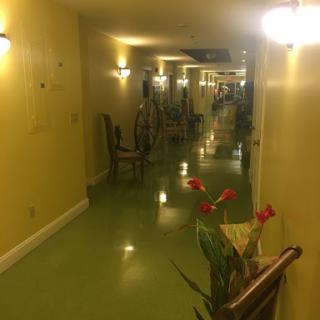 A brightly lit hallway featuring yellow walls, green flooring, and decorative plants.