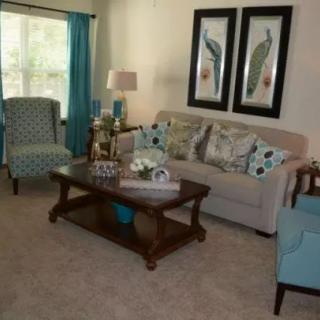 A cozy and stylish living room featuring a beige sofa, a wooden coffee table, and two peacock-themed artworks on the wall.