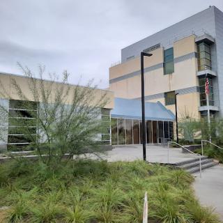 A modern building with greenery in the foreground, showcasing contemporary architectural design.