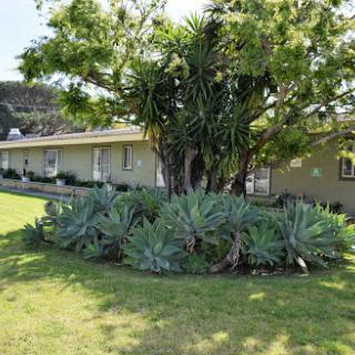 A serene garden scene featuring a variety of plants and a house in the background.
