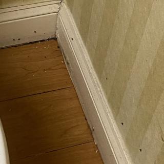 A corner section of a room with wooden flooring and a white baseboard against a patterned wall.