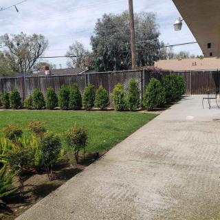 A well-maintained backyard with a lawn, shrubs, and a concrete patio.