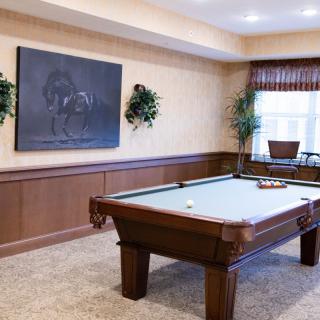 A stylish billiard room featuring a pool table, wood paneling, and artwork on the wall.