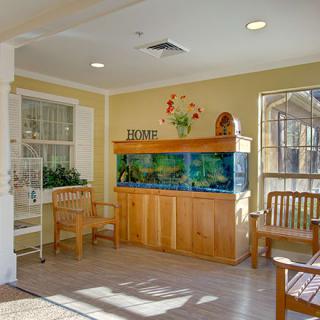 A well-lit waiting room featuring an aquarium and wooden chairs.