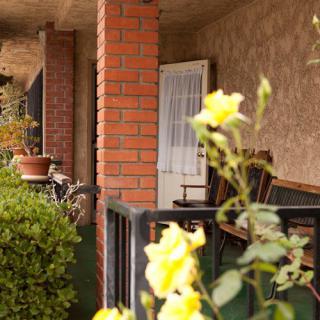 A cozy porch with yellow roses in bloom, potted plants, and a relaxing chair against a brick wall.