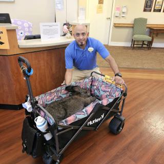 A man prepares a pet stroller in a welcoming lobby, ready to transport an animal.