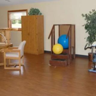 A rehabilitation therapy room equipped with stability balls, a chair, and an indoor plant on wooden flooring.