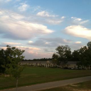 A serene landscape with clouds scattered across the evening sky above a grassy field and trees.