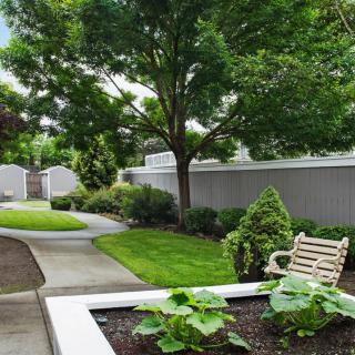 A serene garden scene with a bench, lush grass, and trees lining the pathway.