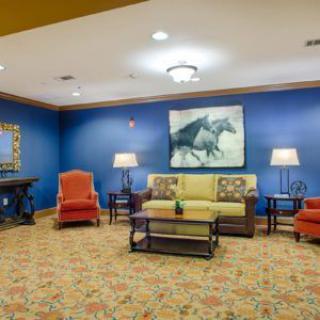 A cozy living room with colorful seating and a blue accent wall featuring horse artwork.