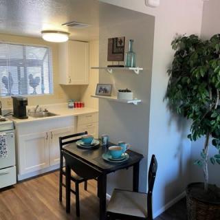 Cozy kitchen and dining area with a table set for two, featuring shelves and an indoor plant.