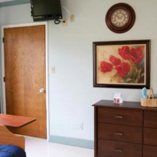A hospital room with a wall-mounted television, a clock, and a floral painting above a dresser.