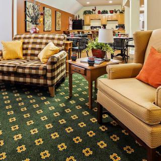 A cozy living room featuring a checkered sofa, an armchair, and a patterned carpet.