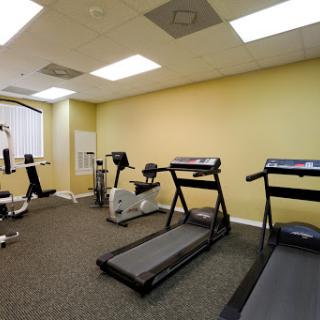 A well-lit fitness area featuring several treadmills and exercise machines.