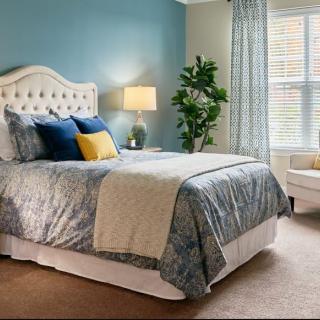 A cozy bedroom with a stylish bed, soft lighting from a lamp, and a large window letting in natural light.