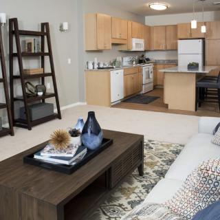 A modern open-plan apartment with a cozy living room and kitchen space.