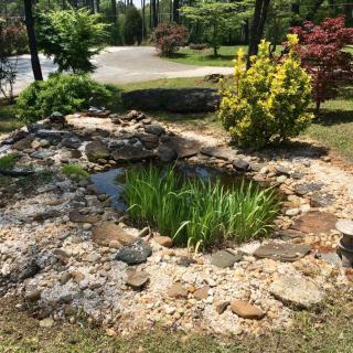 A small garden pond surrounded by rocks and vegetation.