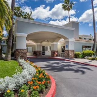 A hotel entrance with well-maintained landscaping, featuring palm trees and a parking area.