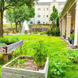 A lush garden with raised beds and a fountain near a residential building.