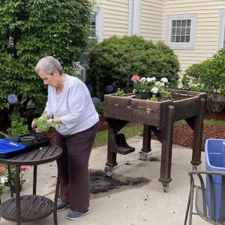 An elderly woman tending to her garden at a potting table, surrounded by blooming flowers and lush greenery.