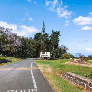 A scenic road with a caution sign surrounded by lush greenery and trees under a bright blue sky.