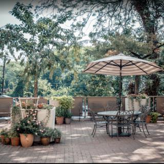 A serene outdoor patio area adorned with potted plants and a shaded table, perfect for enjoying nature.