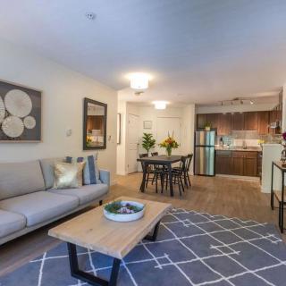 A cozy open-plan living area with a modern kitchen and stylish decor.