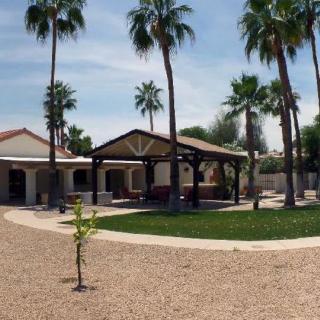 A house with a spacious yard featuring palm trees and a covered patio on a sunny day.