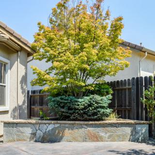 A well-maintained garden area featuring a tree and greenery in front of a house.