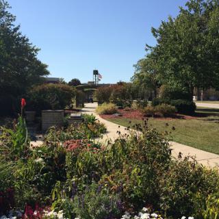 A serene garden pathway surrounded by blooming flowers and lush greenery under a clear blue sky.