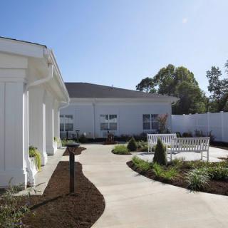 A sunny outdoor space with a garden and a walkway leading to a building.