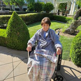 A person sitting in a wheelchair enjoying a sunny day in the garden.