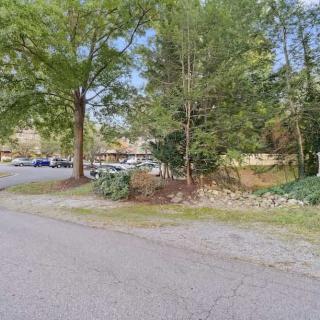 A scenic outdoor view with trees lining a road and parked cars in the background.