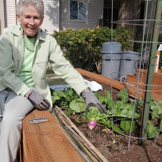 An elderly woman tends to her vegetable garden outdoors.