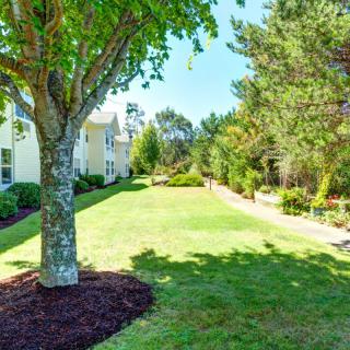 A well-maintained grassy lawn surrounded by trees and buildings on a sunny day.