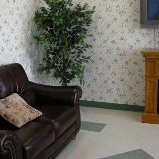 A cozy living room with a leather sofa, decorative pillow, and an artificial plant placed near a fireplace and television.