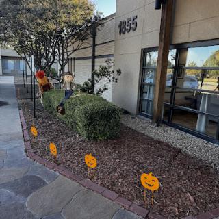 A festive Halloween display featuring decorative pumpkins lining a garden.