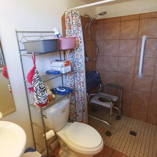 A bathroom with a shower, toilet, and storage shelves.