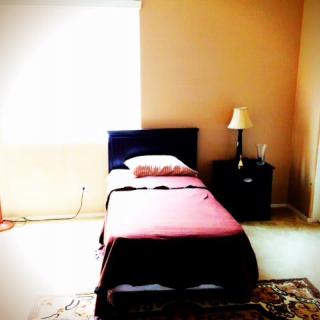 A minimalist bedroom with a single bed, nightstand, and lamp near a window.