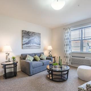 A cozy living room with a sofa, coffee table, and decorative elements.