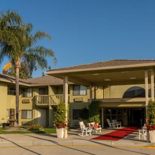 A hotel with a driveway and palm trees under a clear blue sky.