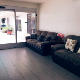 A cozy living room with dark sofas and cushions, illuminated by natural light through a large window.