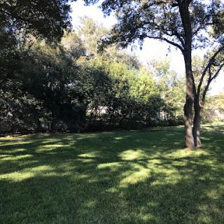 A serene view of a green park area adorned with lush trees.