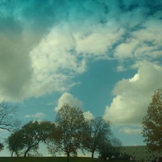 A serene view of a cloudy sky with silhouetted trees in the foreground.
